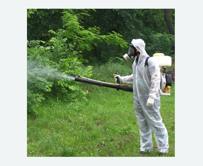обработка дачи от клещей обработка территории от клещей в Ховрино города Москвы