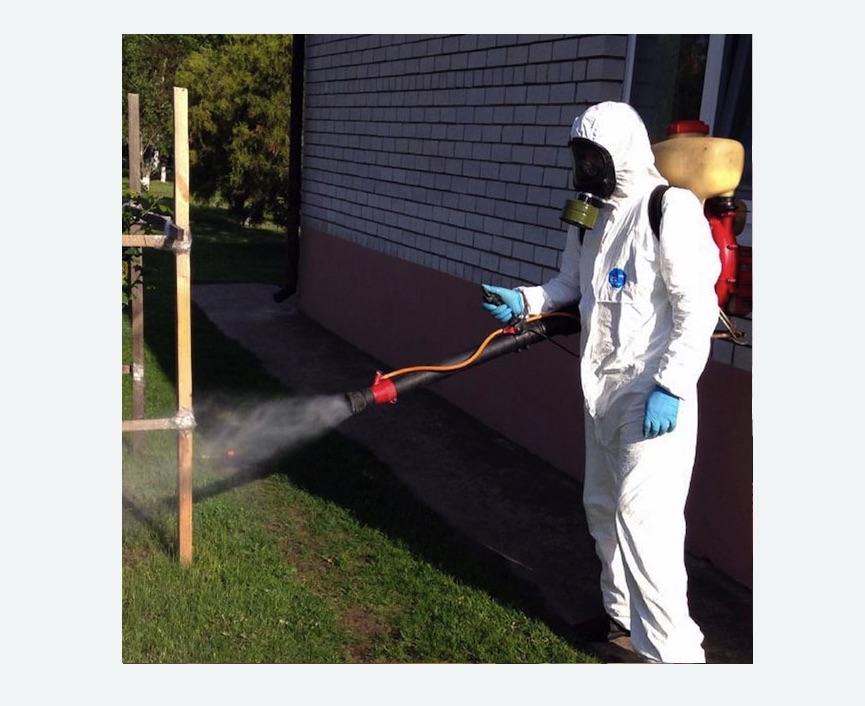 уничтожение клещей на участке травля клещей на участке в Ховрино города Москвы