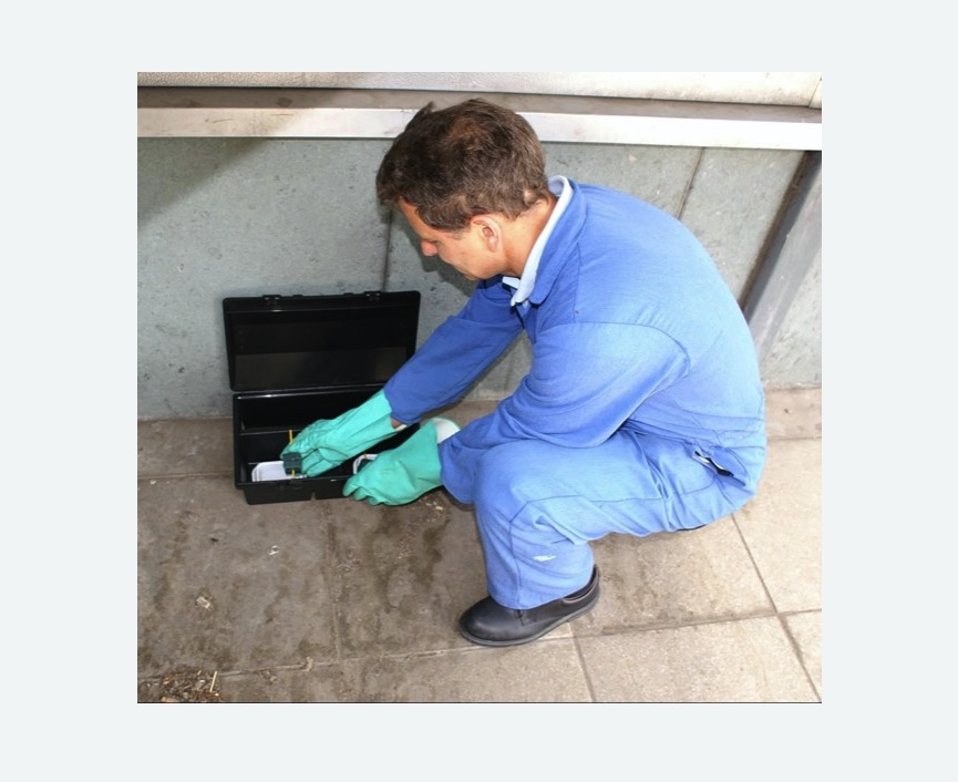 Уничтожение мышей в Ховрино города Москвы Уничтожение мышей