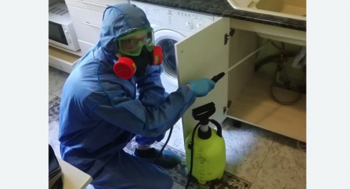 Уничтожение муравьев в квартире. Ховрино