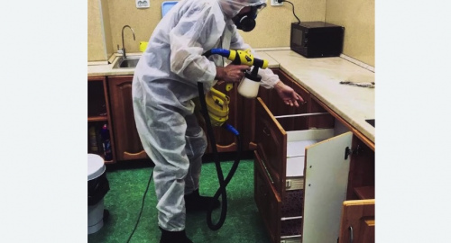 Уничтожение насекомых в квартире. Ховрино