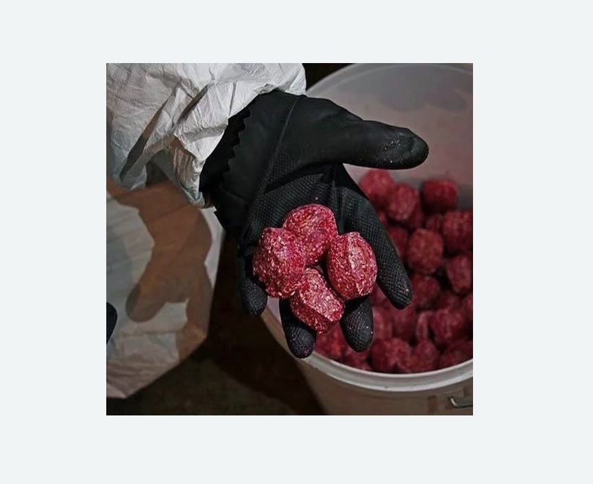 Обработка от крыс Обработка от крыс в Ховрино города Москвы