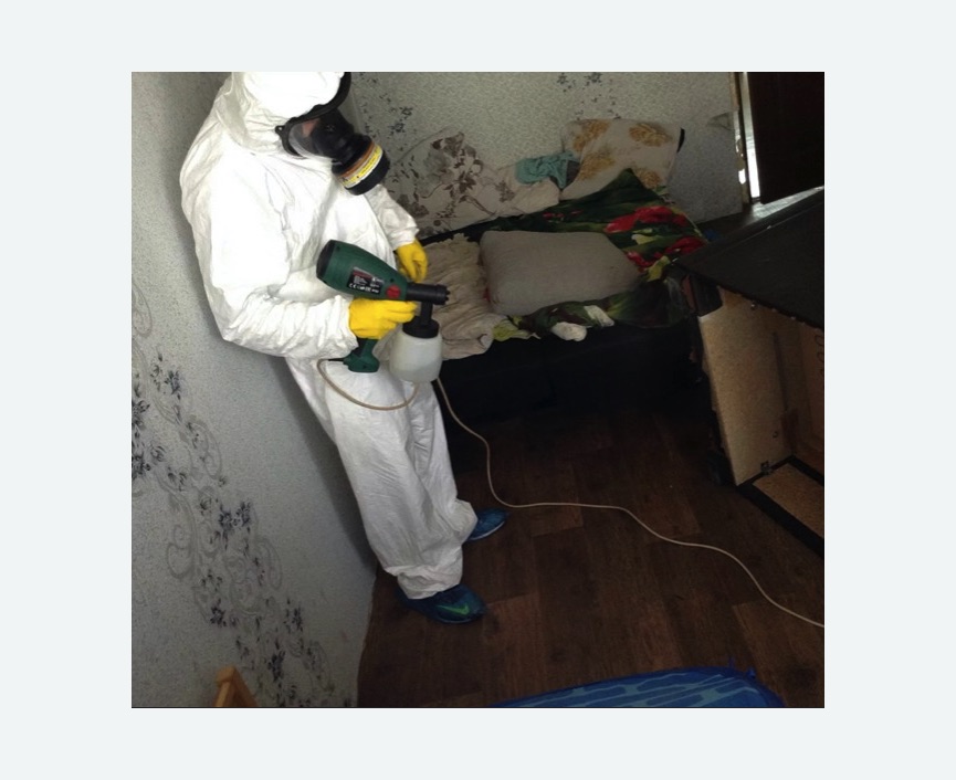 Обработка от насекомых в Ховрино города Москвы Обработка квартиры от насекомых