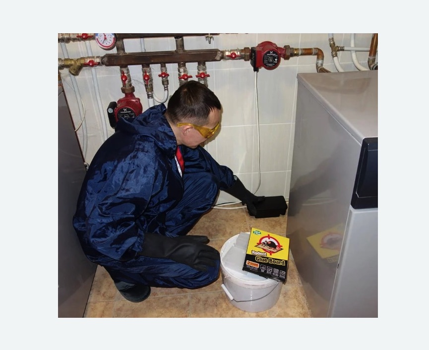 Уничтожение крыс Уничтожение крыс в Ховрино города Москвы