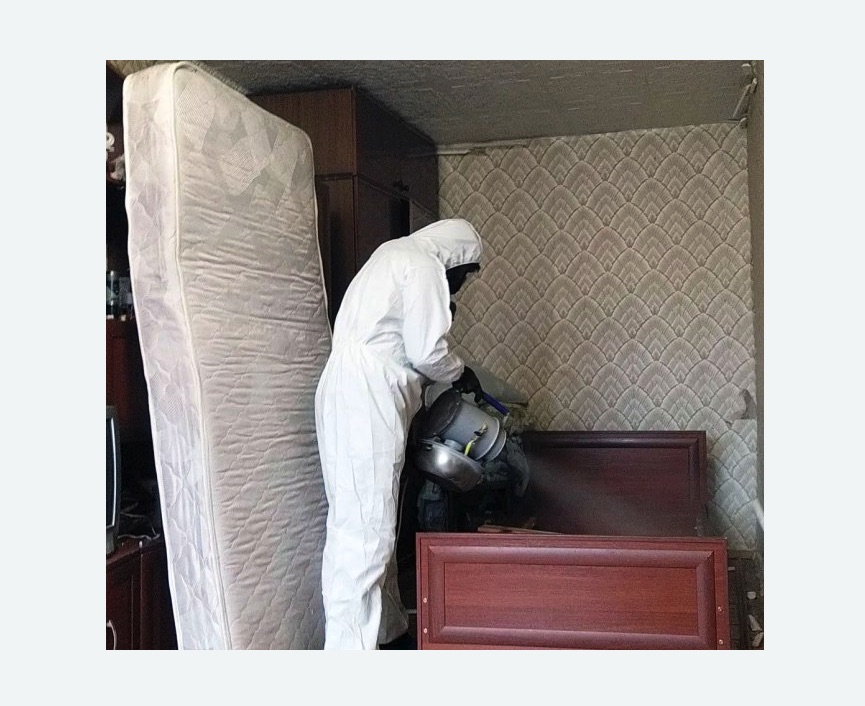 дезинфекция от клопов дезинфекция от клопов в Ховрино города Москвы