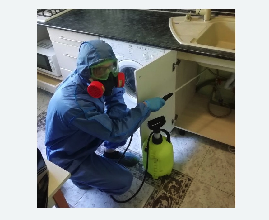 обработка от муравьев в квартире в Ховрино города Москвы